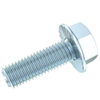 Hexagon Flange Bolt